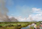 472 Hektar Lahan di Sumsel Terbakar