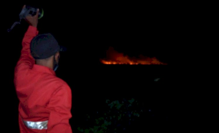 Kebakaran hutan dan lahan yang terjadi di Sumsel. Foto: IST