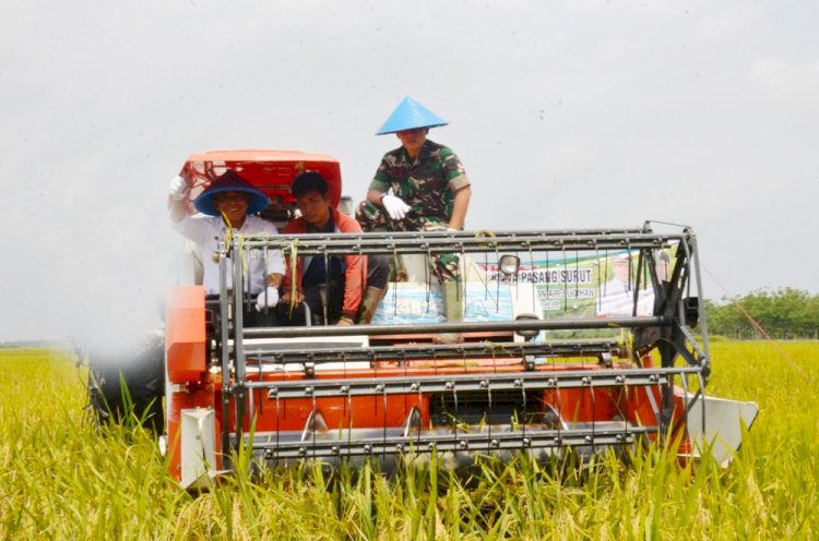 Jadi kawasan food estate, OKI fokus cetak petani berdasi melalui korporasi petani. (foto: Kominfo OKI)