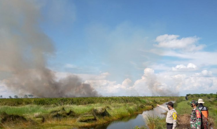 Sejumlah petugas di lapangan tampak berupaya menjangkau lokasi Karhutlah, Selasa (1/6). (foto: istimewa/BPBD Sumsel)