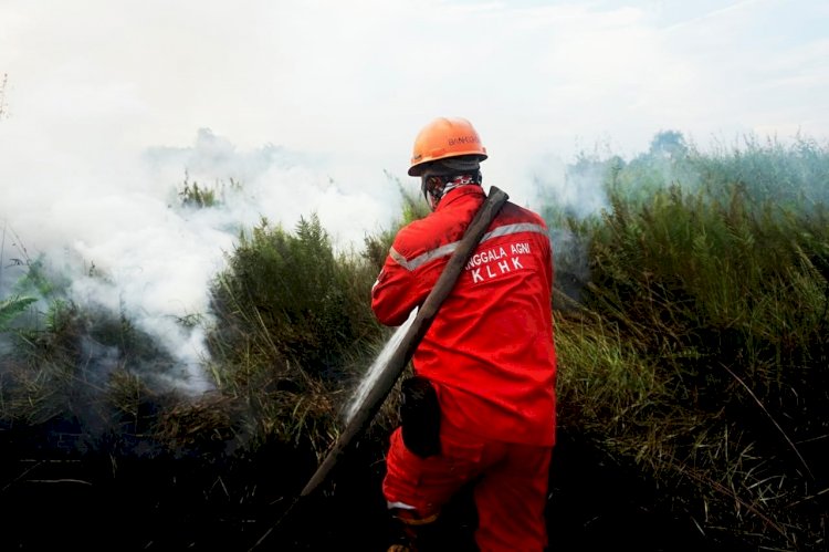 Petugas Manggala Agni berusaha memadamkan kebakaran lahan di Ogan Ilir, Sumsel, beberapa waktu lalu. (m hatta/rmolsumsel.id)