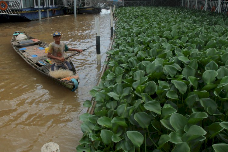 Yani (56) salah seorang nelayan di perairan Sungai Musi. Foto-Foto; M Hatta/rmolsumsel.id