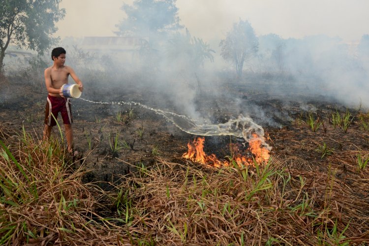 Kebakaran lahan gambut/M Hatta