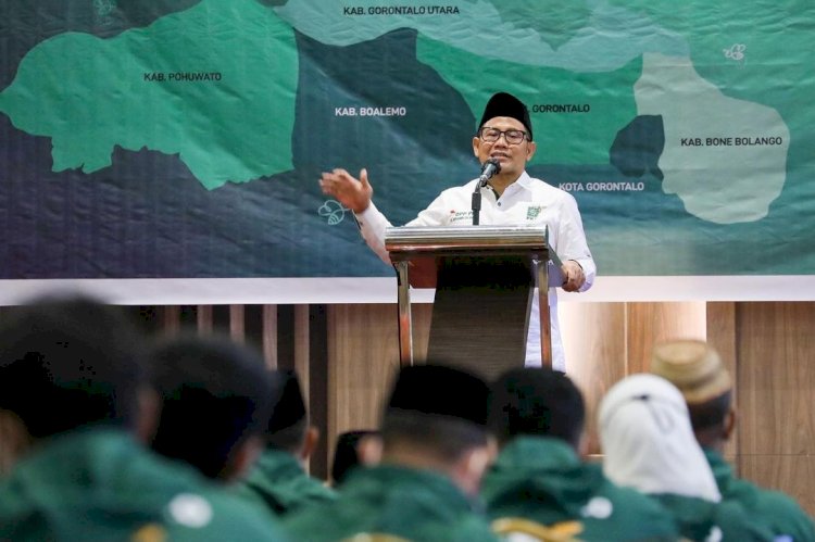 Ketua Umum Partai Kebangkitan Bangsa Abdul Muhaimin Iskandar. (net/rmolsumsel.id)