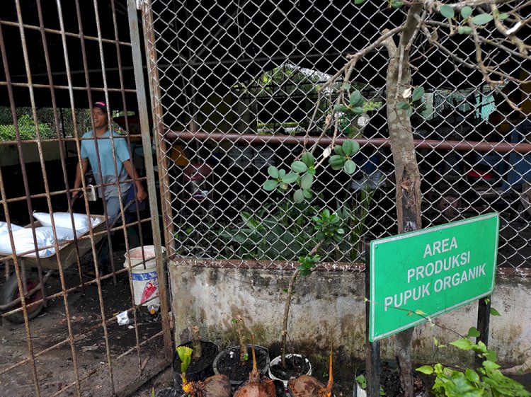 Area produksi pupuk organik di Pasti Patraganik. (M Hatta/rmolsumsel.id)