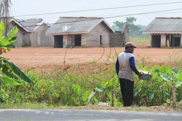 Kondisi lahan pembangunan kantor Pemerintahan Terpadu di Kelurahan Kramasan, kecamatan Kertapati Kota Palembang. (m hatta/rmolsumsel.id)