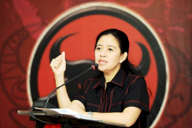 Ketua DPP PDI Perjuangan Puan Maharani. (Net/rmolsumsel.id)