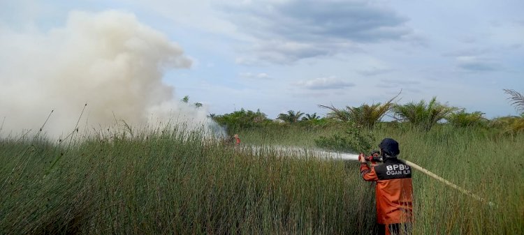 Petugas BPBD Sumsel saat melakukan pemadaman karhutla. (BPBD Sumsel/rmolsumsel.id)