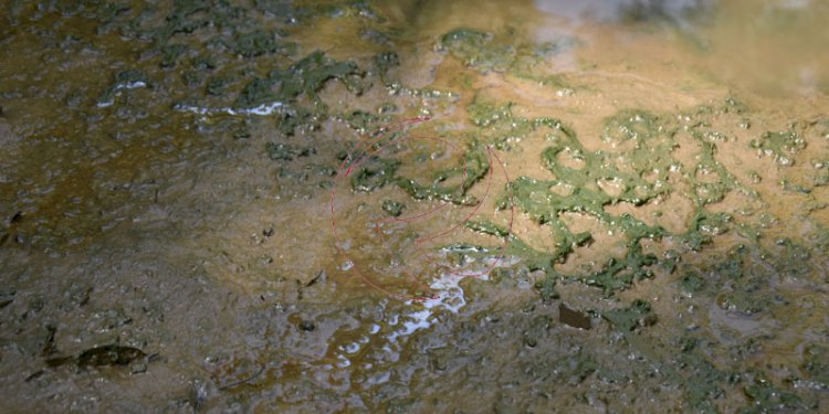 Kondisi air sungai yang diduga sudah tercemar aktivitas pertambangan di kawasan Muara Enim. (rmolsumsel)