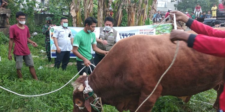 Penyerahan sapi kurban oleh Gubernur Sumsel Herman Deru kepada panitia pemotongan hewan kurban Masjid Al Amin, Senin (19/7). (eko prasetyo/rmolsumsel.id)