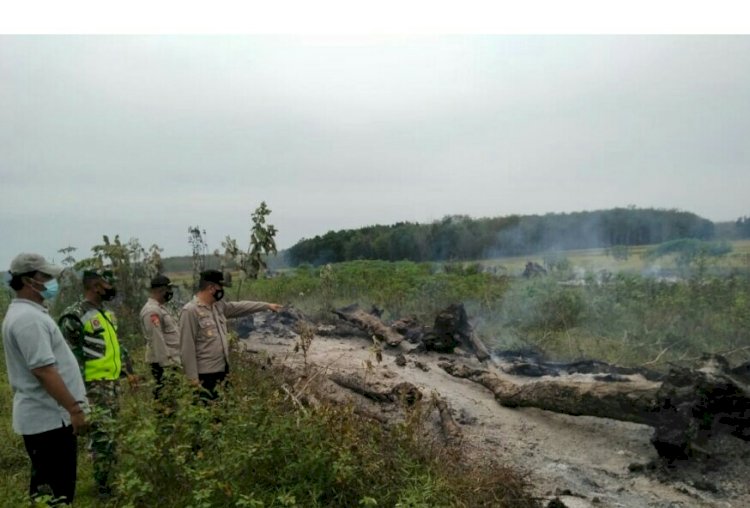 Lahan terbakar yang berada di Desa Sumber Harapan Kecamatan Belitang II Kabupaten OKU Timur, Rabu (21/7). (ist/rmolsumsel.id)
