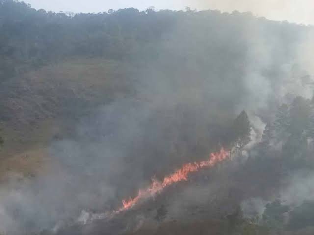 Hutan di perbukitan dekat danau toba terbakar/net/rmolsumsel.id