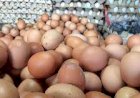 Jelang Nataru Harga Telur Ayam Ras di Palembang Melonjak