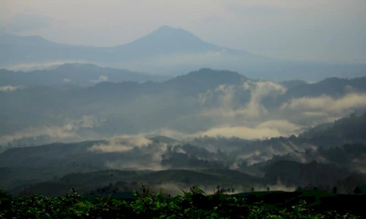 Taman Nasional Gunung Halimun Salak/net