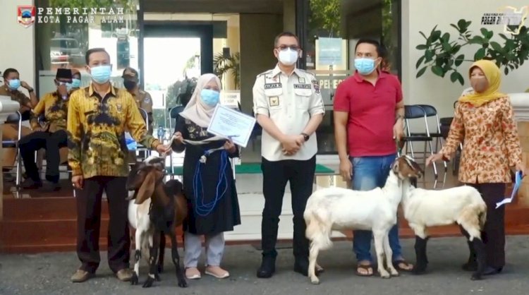 Wali Kota Pagar Alam Alpian Maskoni bersama perwakilan salah satu kelompok tani yang mendapat bantuan stimulan ketahanan pangan. (Humas Pemkot Pagar Alam/rmolsumsel.id)