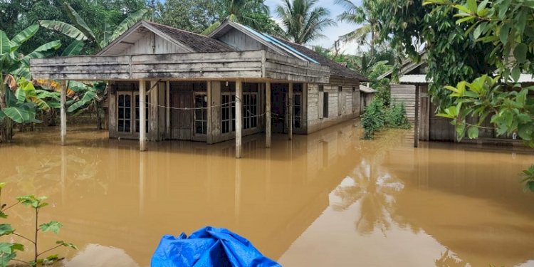 Kondisi banjir yang menggenangi wilayah Kecamatan Kusan Hulu, di Kabupaten Tanah Bumbu, Kalimantan Selatan. (net/rmolsumsel.id)