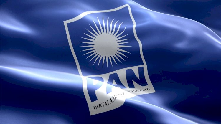 Bendera PAN/net