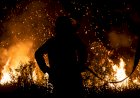 Puluhan Hektar Lahan Gambut di Palem Raya Kembali Terbakar