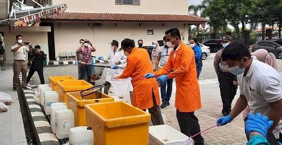 Pemusnahan ikan impor oleh Kantor Balai Karantina Ikan dan Pengendalian Mutu (BKIPM) Jakarta I. (ist/rmolsumsel.id)