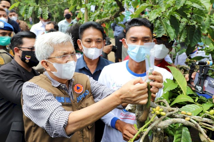 Wakil Gubenur Sumsel Mawardi Yahya mencoba metode stek batang kopi di lahan petani Kota Pagar Alam. (ist/rmolsumsel.id)