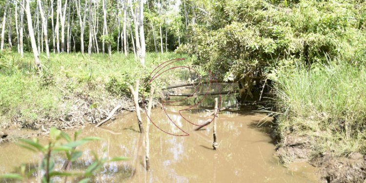 Sungai Penimur di Kabupaten Muara Enim yang tercemar akibat limbah batubara. (dok/rmolsumsel.id)