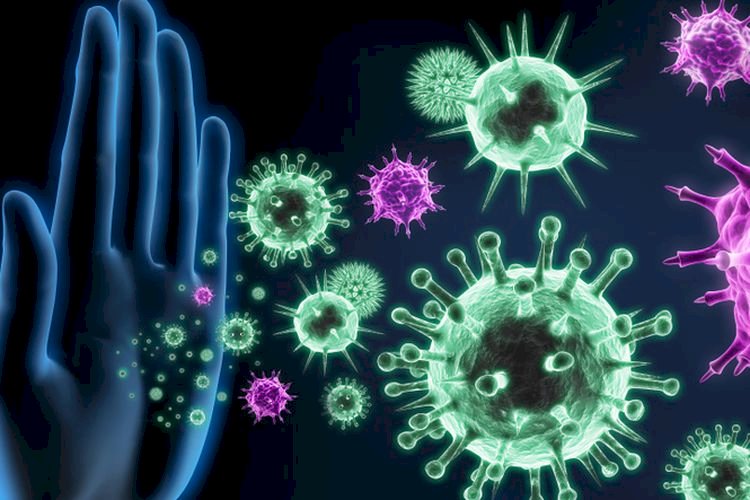 ilustraso virus corona. (ist/net) 