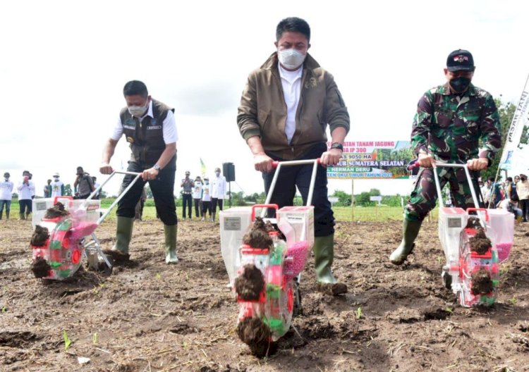 Gubernur Sumsel bersama Bupati OKU Timur Lanosin Hamzah mencoba menanam benih jagung menggunakan alat pertanian. (Humas Provinsi Sumsel/rmolsumsel.id) 