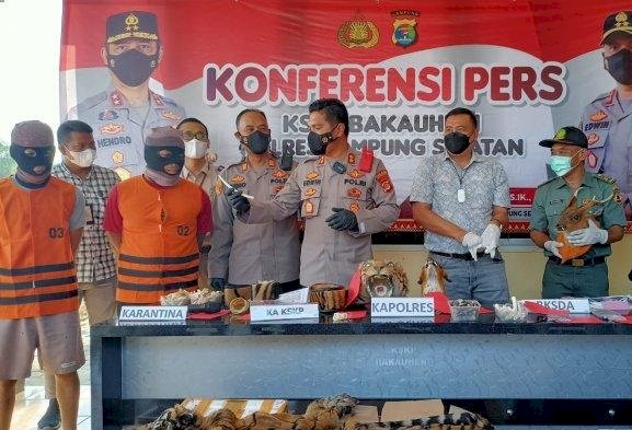 KSKP Bakauheni saat menggelar press rilis ungkap kasus penyelundupan kulit Harimau Sumatera. (Istimewa/rmolsumsel.id)