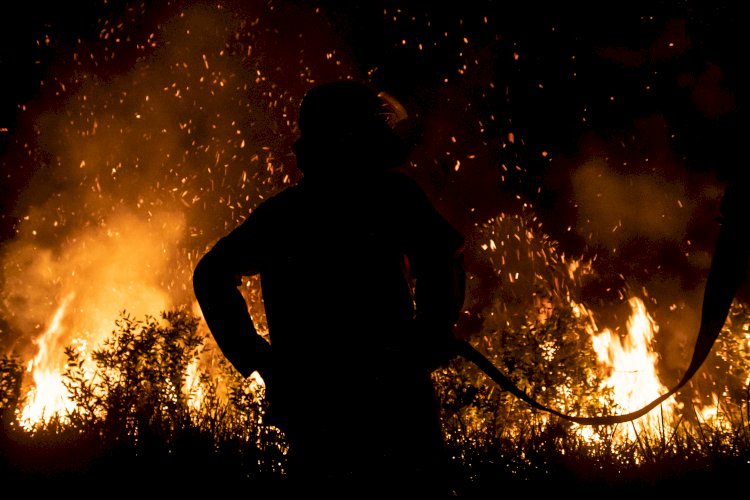 Puluhan hektar lahar gambut di Kabupaten Ogan Ilir terbakar/Humaidy Kennedy/rmolsumsel.id