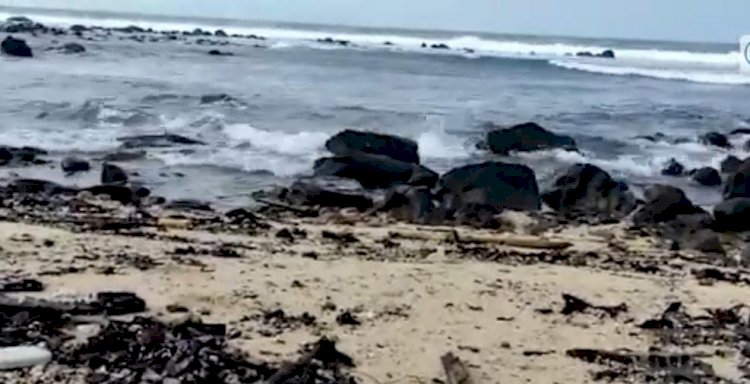 Kondisi Teluk Lampung yang diduga tercemar. (rmollampung.id)