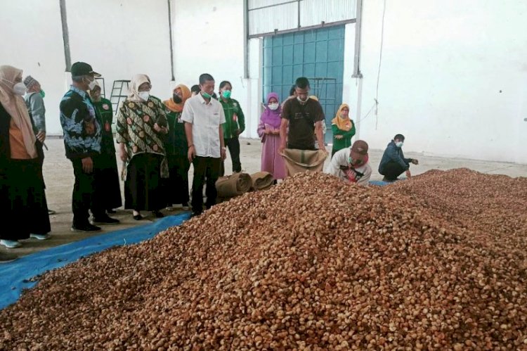 Asisten II Setda Kota Pagar Alam Syafrani bersama pengurus koperasi meninjau pinang yang akan diekspor di gudang komoditas SRG Aur Duri. (Humas Pagar Alam/rmolsumsel.id)