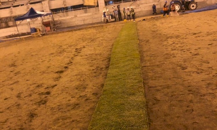 Proses pemasangan rumput Hybrid di Stadion JIS. (rmoljakarta)