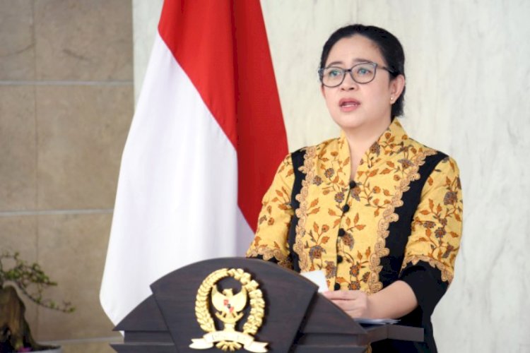 Ketua DPR RI Puan Maharani. (Humas DPR RI/rmolsumsel.id)