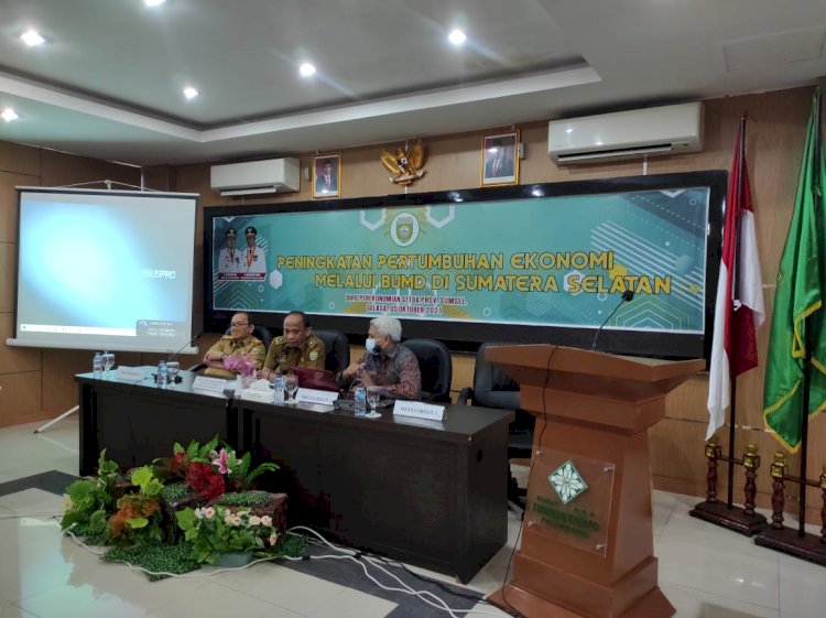 Rapat teknis bersama Dirjen Keuangan Daerah Kemendagri. (Yuni Rahmawati/rmolsumsel.id)