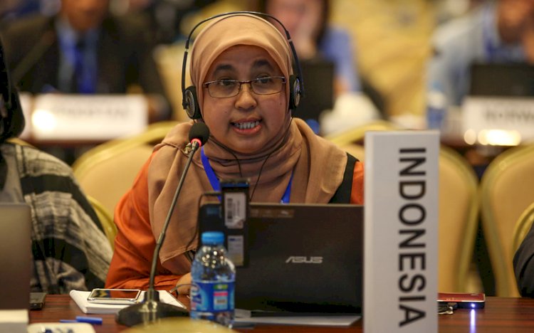 Lana Saria kini menjabat sebagai Direktur Pembinaan dan Pengusahaan Batubara. (Ist/rmolsumsel)