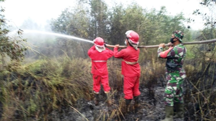 Petugas memadamkan api yang membakar hutan dan lahan di satu titik di wilayah Sumsel. (MADS XIV/rmolsumsel.id)