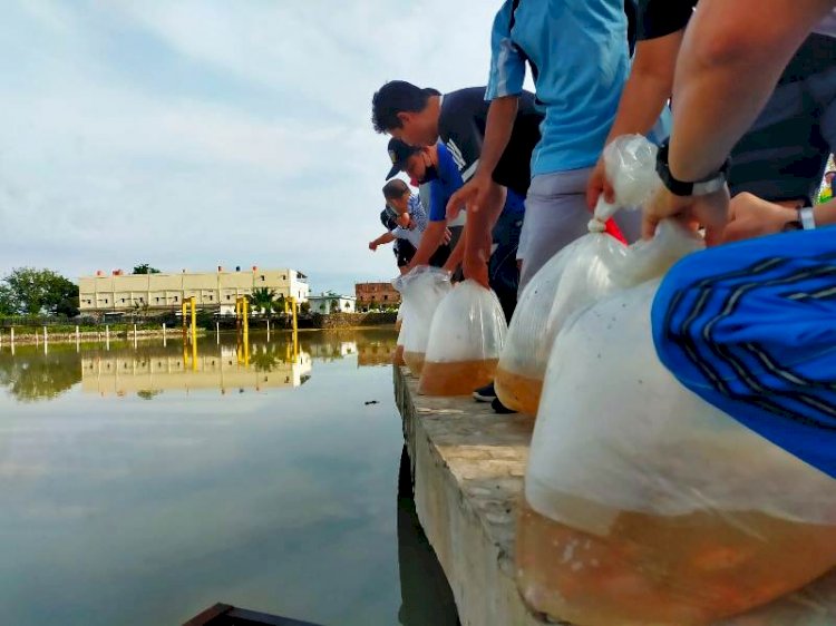 Dinas Perikanan Kabupaten Muba menebar 40 ribu bibit ikan nila merah dan lele albino di Taman Air Serasan Sekate. (Humas Pemkab Muba/rmolsumsel.id)