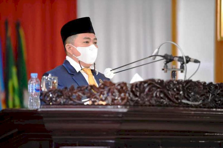Wakil Ketua Komisi V DPRD Sumsel Mgs Syaiful Padli. (Ist/rmolsumsel.id)