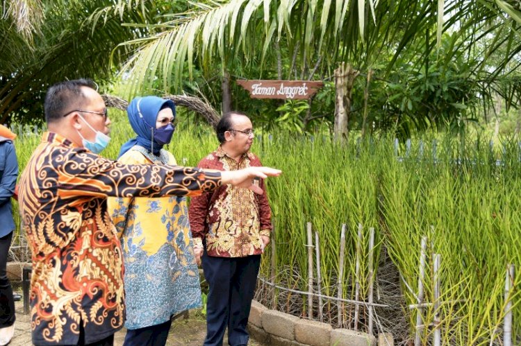 Ketua DPRD Sumsel RA Anita Noeringhati saat kunjungan kerja ke Kebun Raya Sriwijaya, Jumat (5/11). (Ist/rmolsumsel.id)