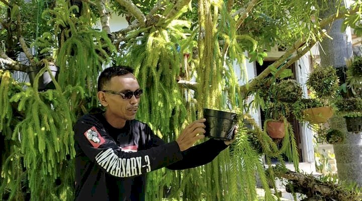 Hendra Syahputra dan tanaman hias usahanya. (RMOLAceh/rmolsumsel.id)