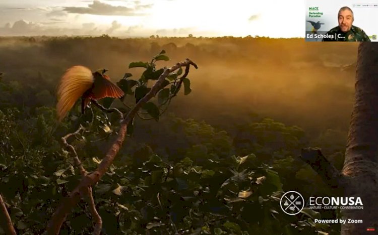 Tangkapan layar webinar Econusa yang menampilkan hasil foto Tim Laman, seekor  Red Bird of Paradise (Paradisaea Rubra). (rmolsumsel)