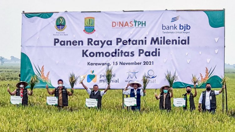 Panen raya Petani Milenial di Desa Gembongan, Kecamatan Banyusari, Kabupaten Karawang, Senin, 15 Desember 2021./Dok