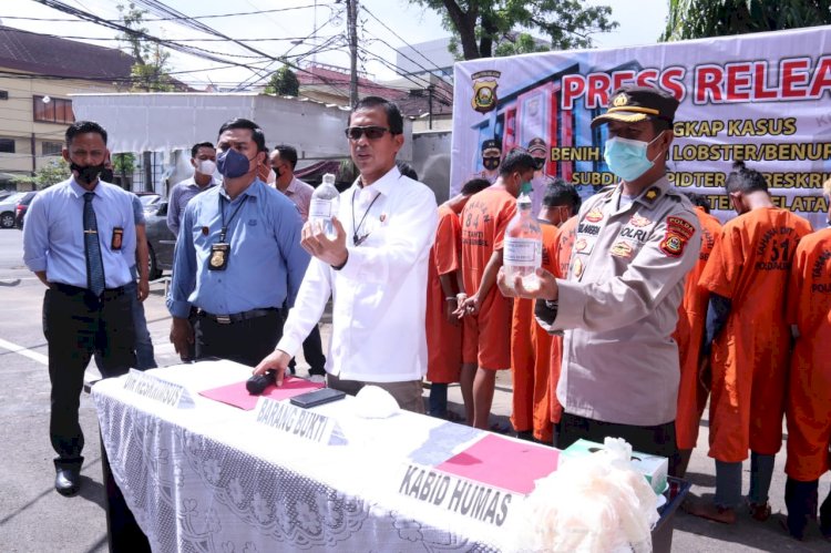 Ungkap kasus penggerebekan lokasi penampungan benih lobster. (Istimewa/rmolsumsel.id)