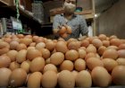 Sempat Meroket di Akhir Tahun, Harga Telur Ayam di Palembang Kembali Normal
