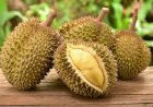 Mabuk Durian? Ini 7 Tips Mengatasinya