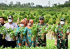 Agrowisata Tekno 44, Danrem 044/Gapo: Solusi Permanen Pemanfaatan Lahan Rawan Karhutla