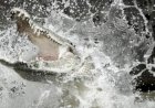 Berenang Seberangi Kanal, Pria di OKI Tewas Disambar Buaya