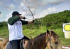 Pordasi Sumsel Seleksi Atlet untuk Kejurnas Horseback Archery