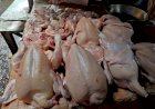 Harga Menurun, Pedagang Daging Ayam ini Kebanjiran Pesanan