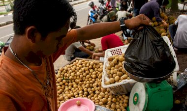 Pedagang Buah Musiman Bermunculan di Palembang